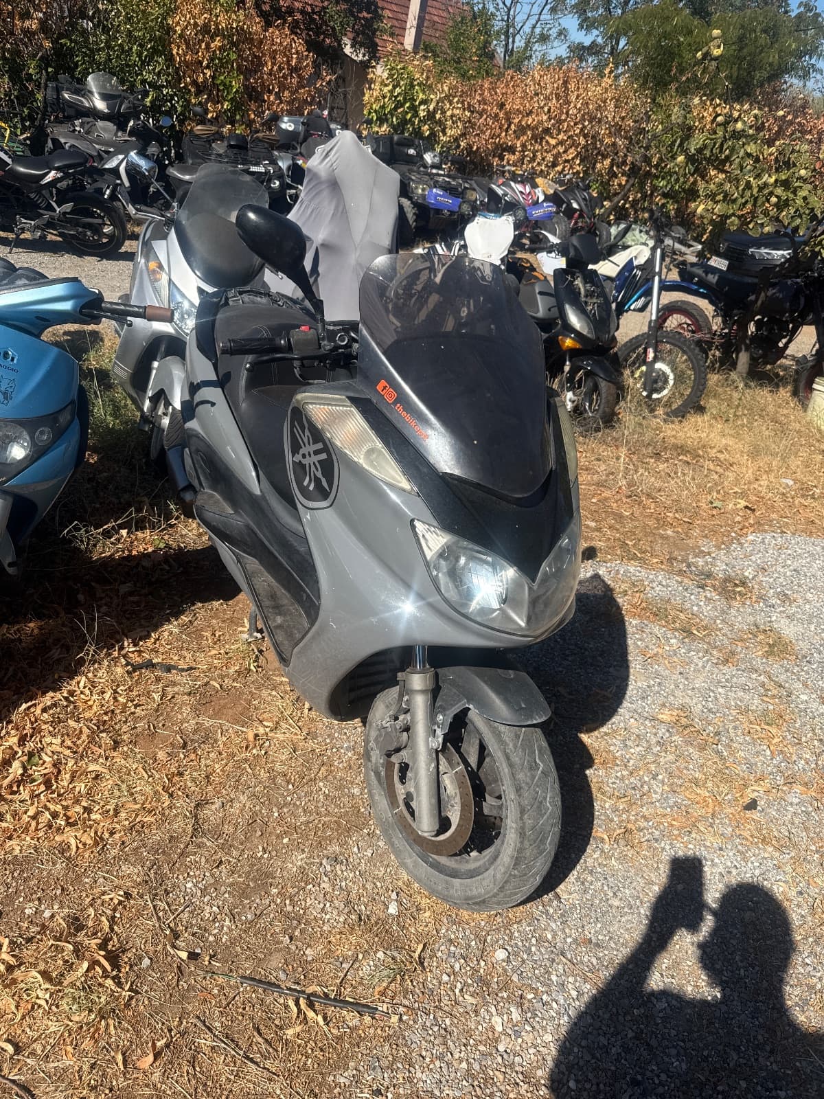 Yamaha