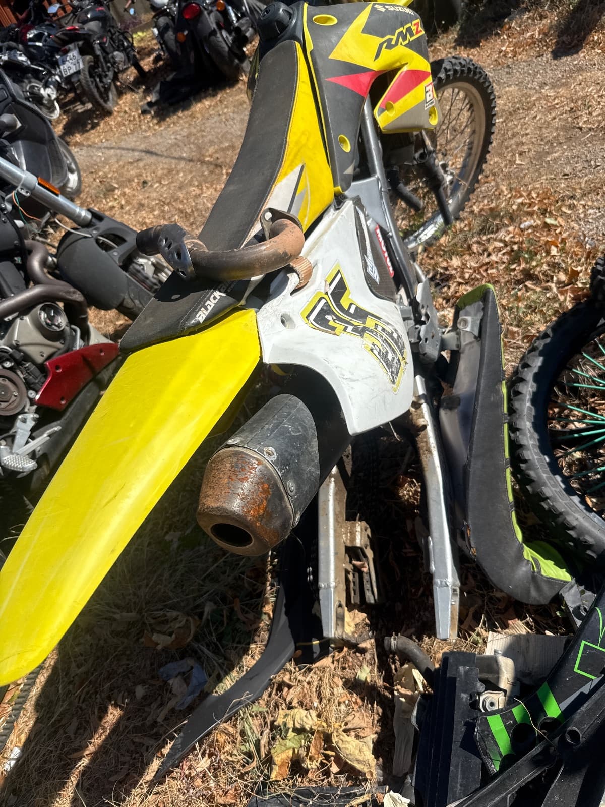 Suzuki